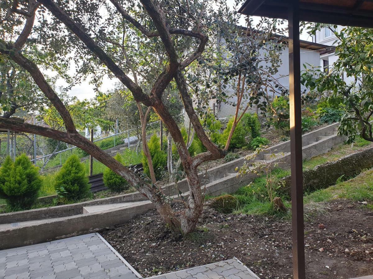 Samida Hotel New Athos Luaran gambar